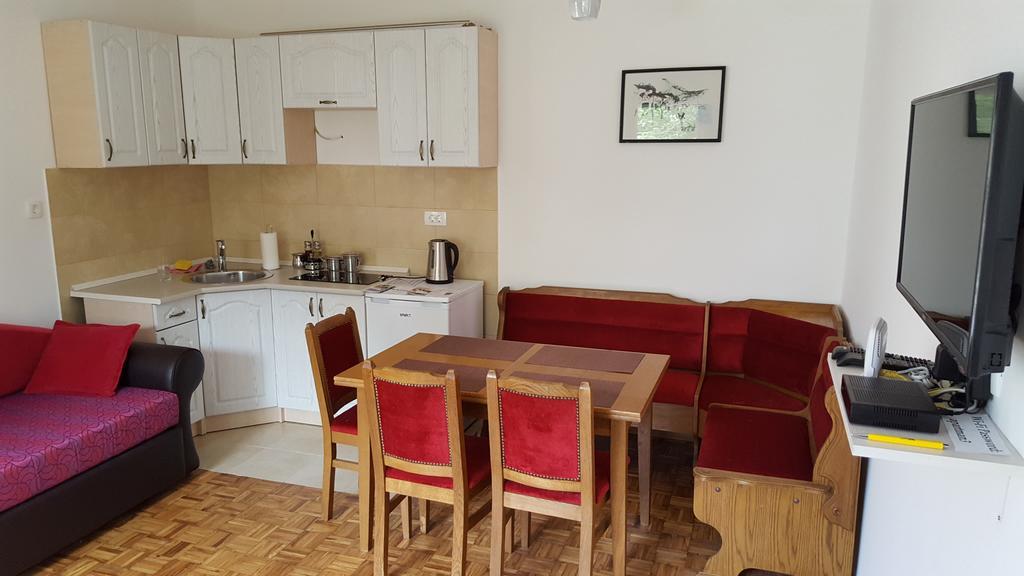 Central Apartment Nikšić المظهر الخارجي الصورة